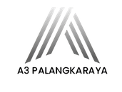 A3